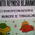 Pinito Reynoso Bejarano