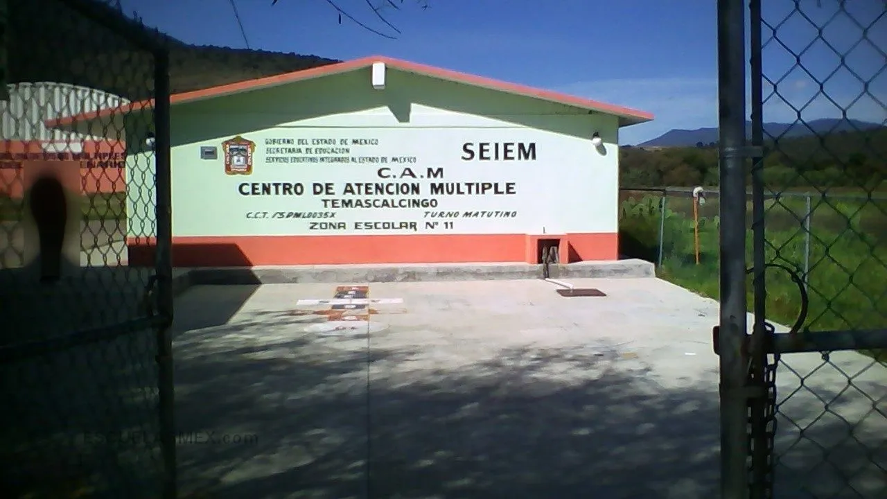 C.a.m. Num. 35 Temascalcingo Entrada