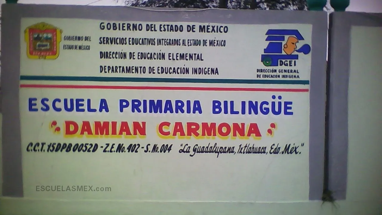 Damian Carmona Entrada