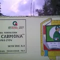 Damian Carmona
