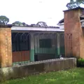 Rafael Ramirez