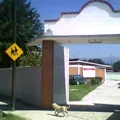 Ortiz Rubio