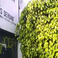 Aquiles Serdan