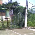 Profr. Miguel Luis Delgado Montoya