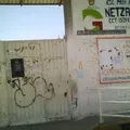 Netzahualcoyotl