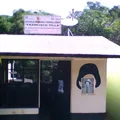 Francisco Villa