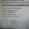 Mario Colin Sanchez
