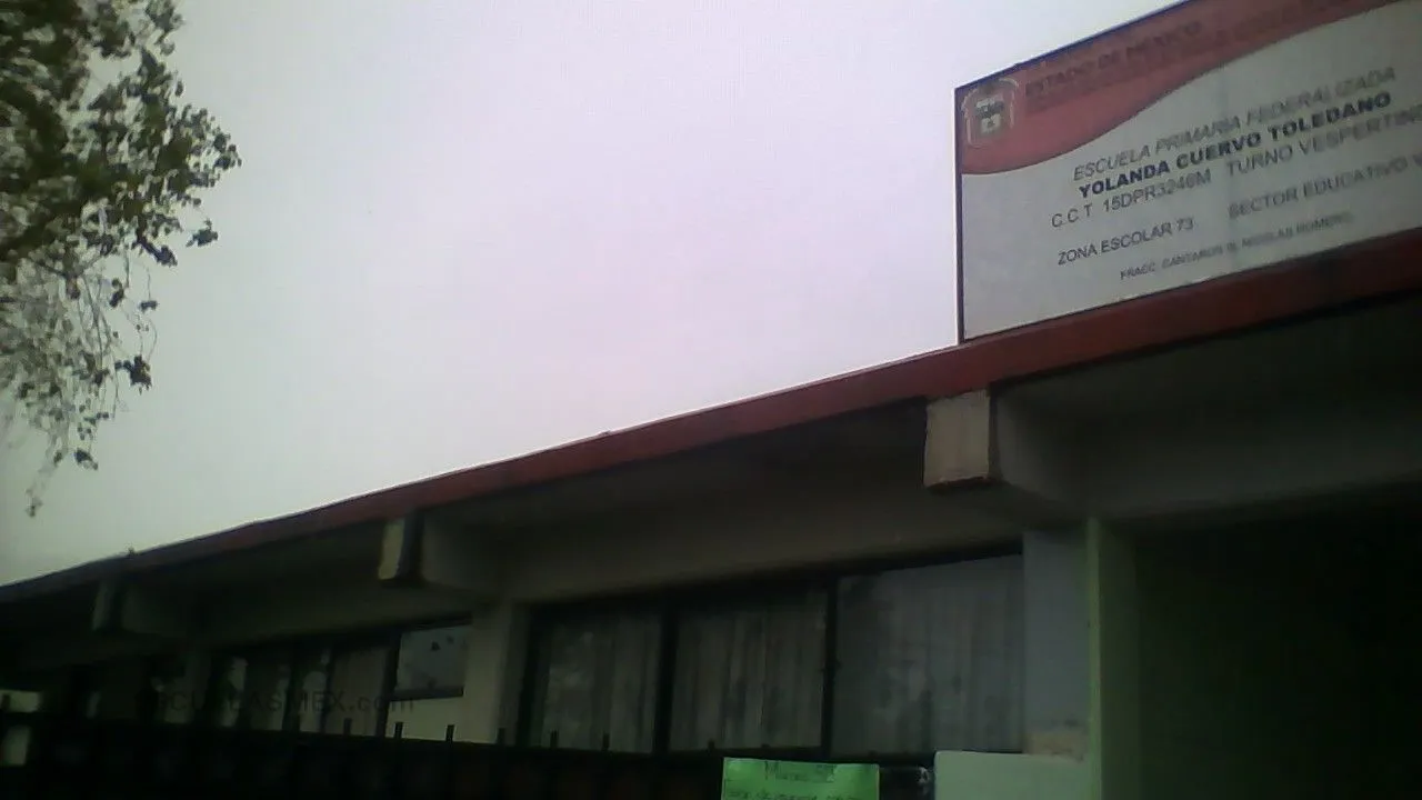 Yolanda Cuervo Toledano Entrada