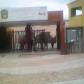 Pablo Latapi Sarre