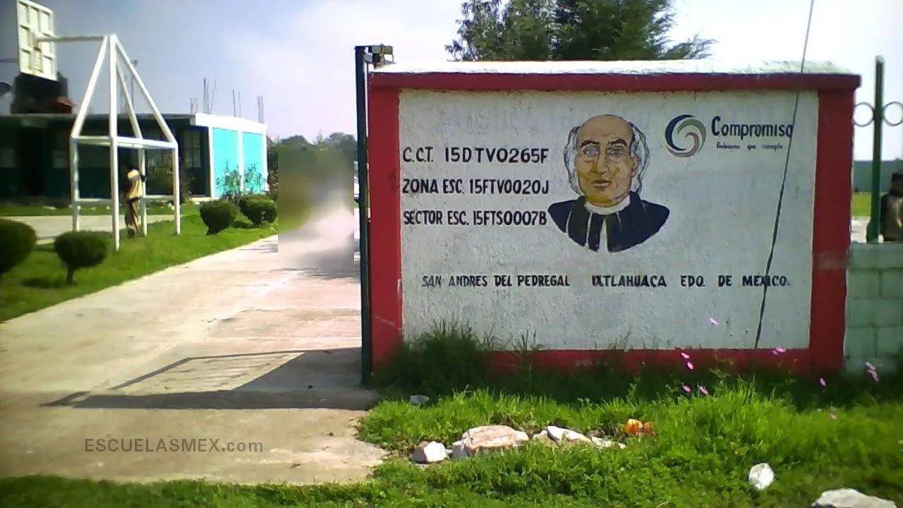 Miguel Hidalgo y Costilla Entrada