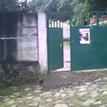Luis Donaldo Colosio Murrieta