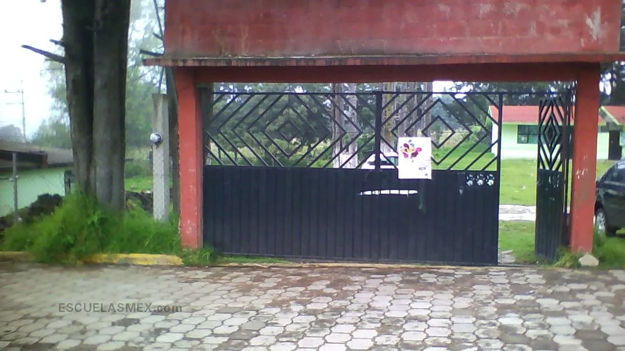 Guillermo Gonzalez Camarena Entrada