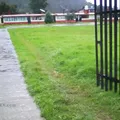 Articulo Tercero