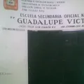 Ofic No 0207 "guadalupe Victoria"