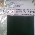 Ofic No 0207 "guadalupe Victoria"