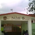 Angela Peralta
