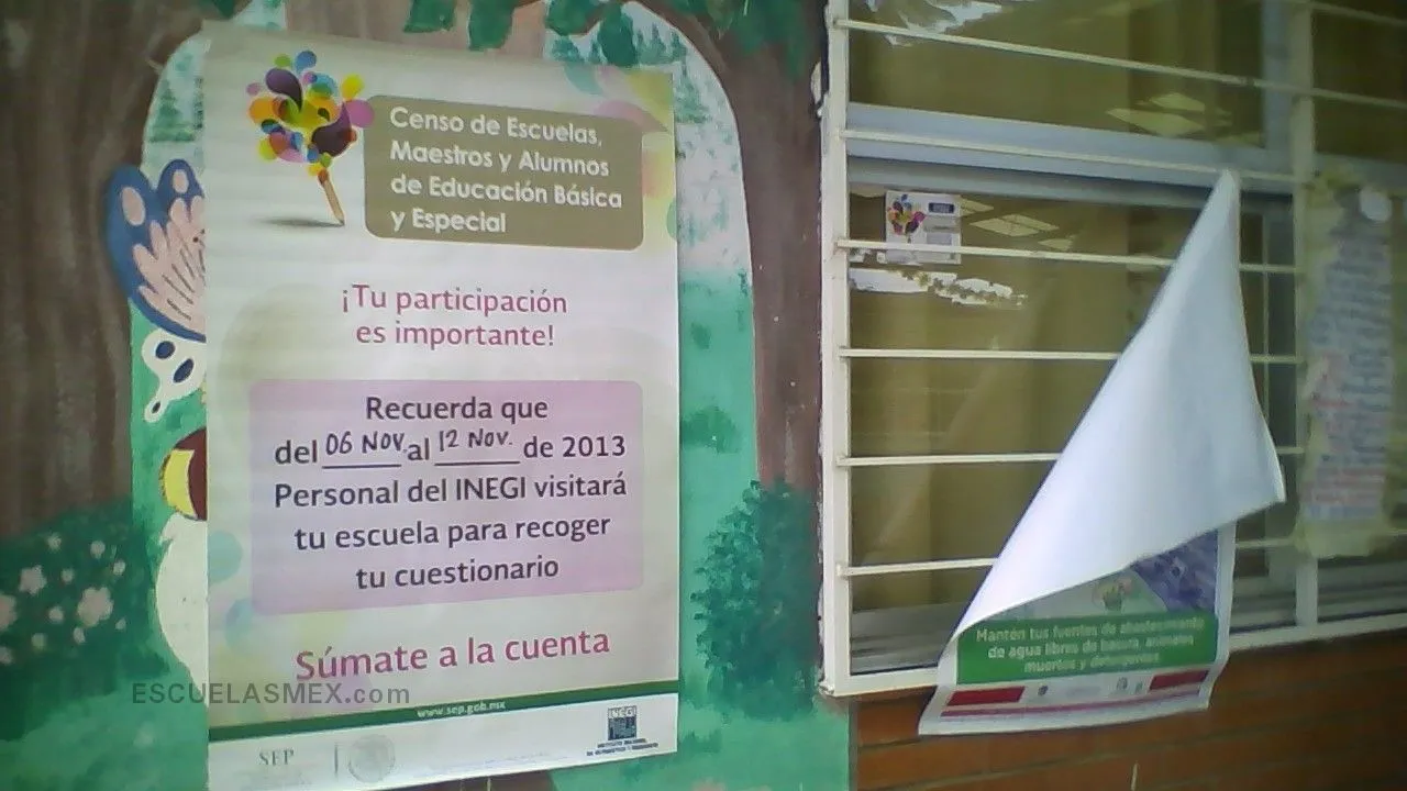 Evolucion Social Entrada