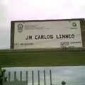 Carlos Linneo
