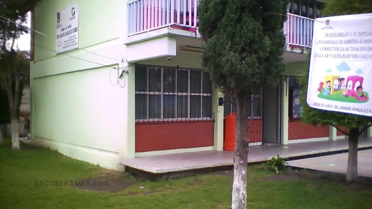 Ing. Manuel Gonzalez Flores Entrada