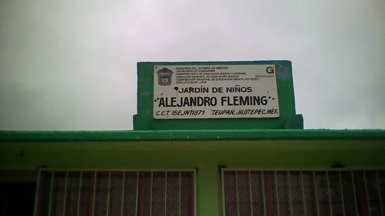 Alejandro Fleming Entrada