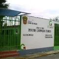 Pintor Leopoldo Flores