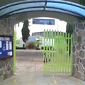 Profra. Maria Elena Chanes