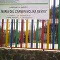 Maria del Carmen Molina Reyes