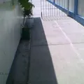 Cuitlahuac A E P