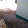 Amado Nervo