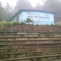 Concepcion Arenal