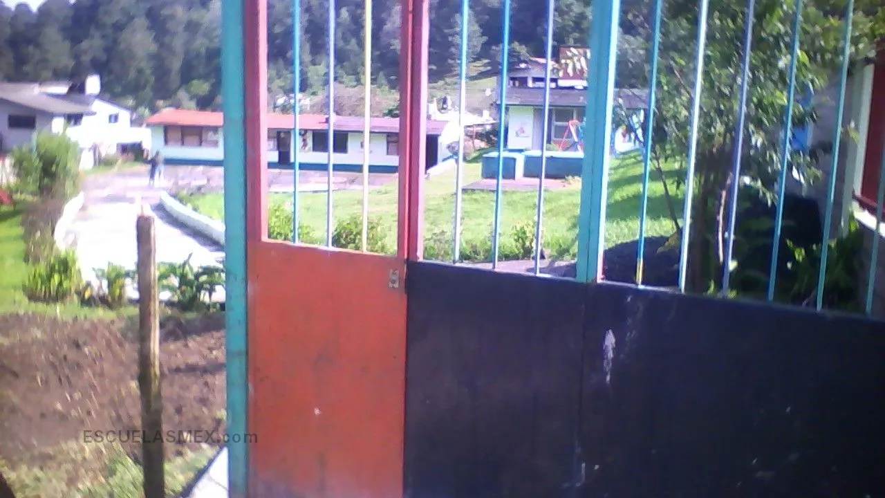 Margarita Robledo Moguel Entrada