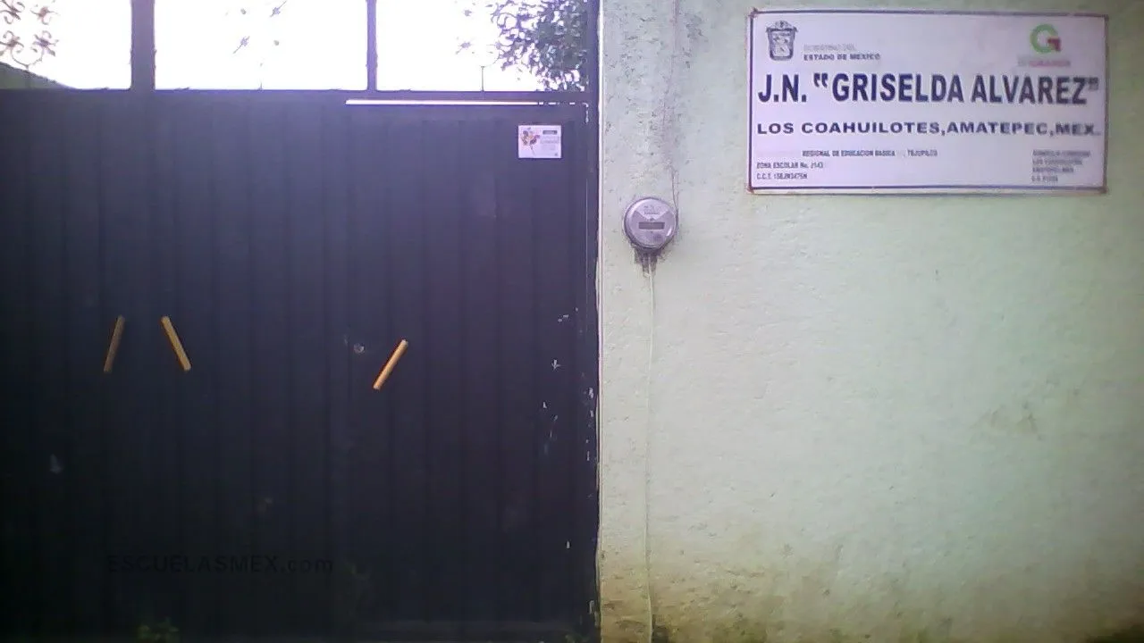 Griselda Alvarez Entrada
