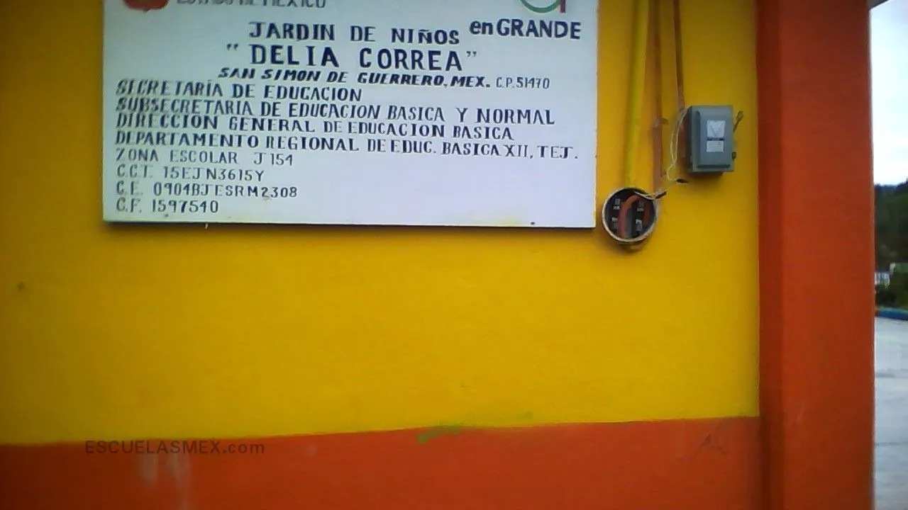 Delia Correa Entrada