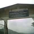 Celestin Freinet