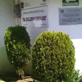 Cam No. 03 "dr Guillermo Coronado"