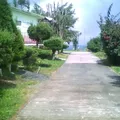 Lic. Benito Juarez