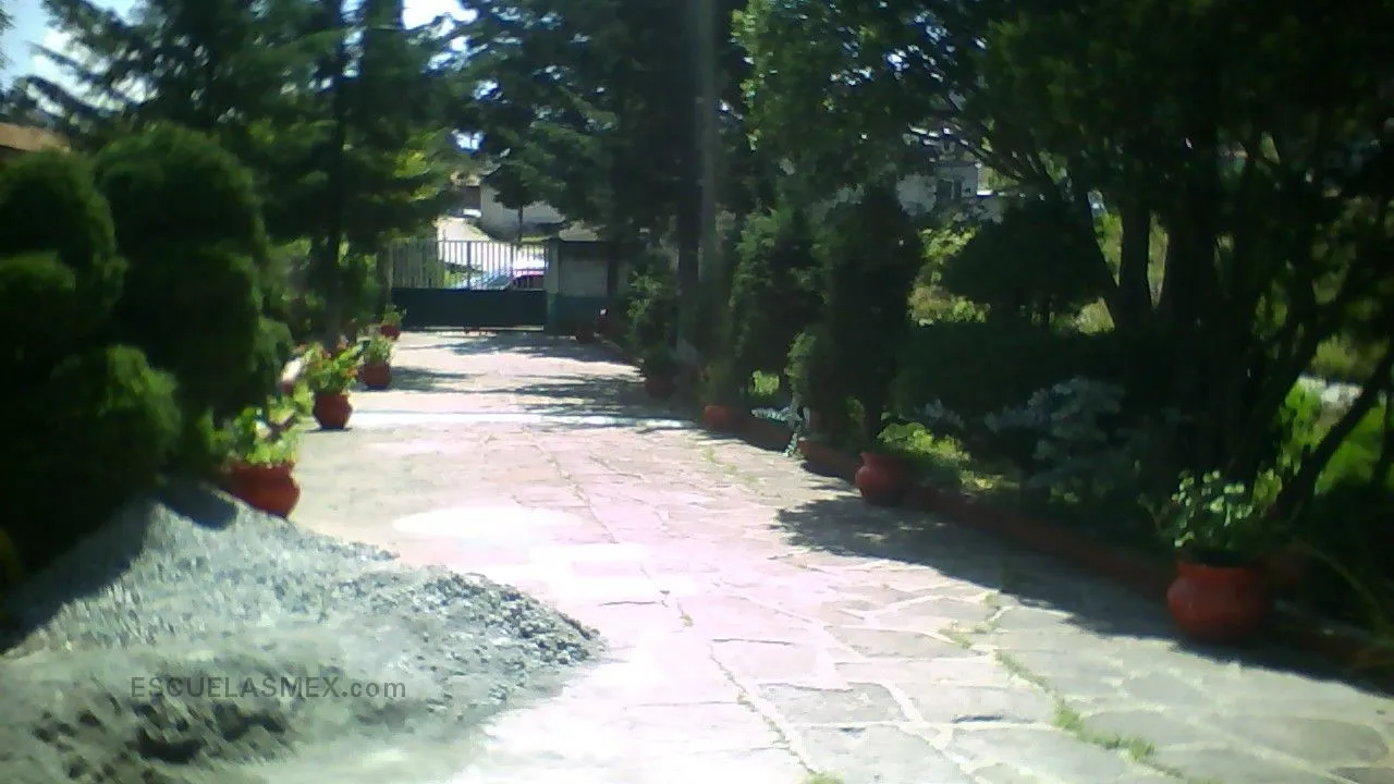 Salvador Sanchez Colin Entrada
