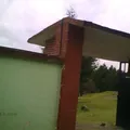Leon Guzman
