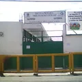 Profr. Francisco Estrada