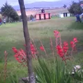 Jose Maria Morelos y Pavon