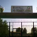 Federico Gomez