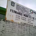 Fernando Montes de Oca