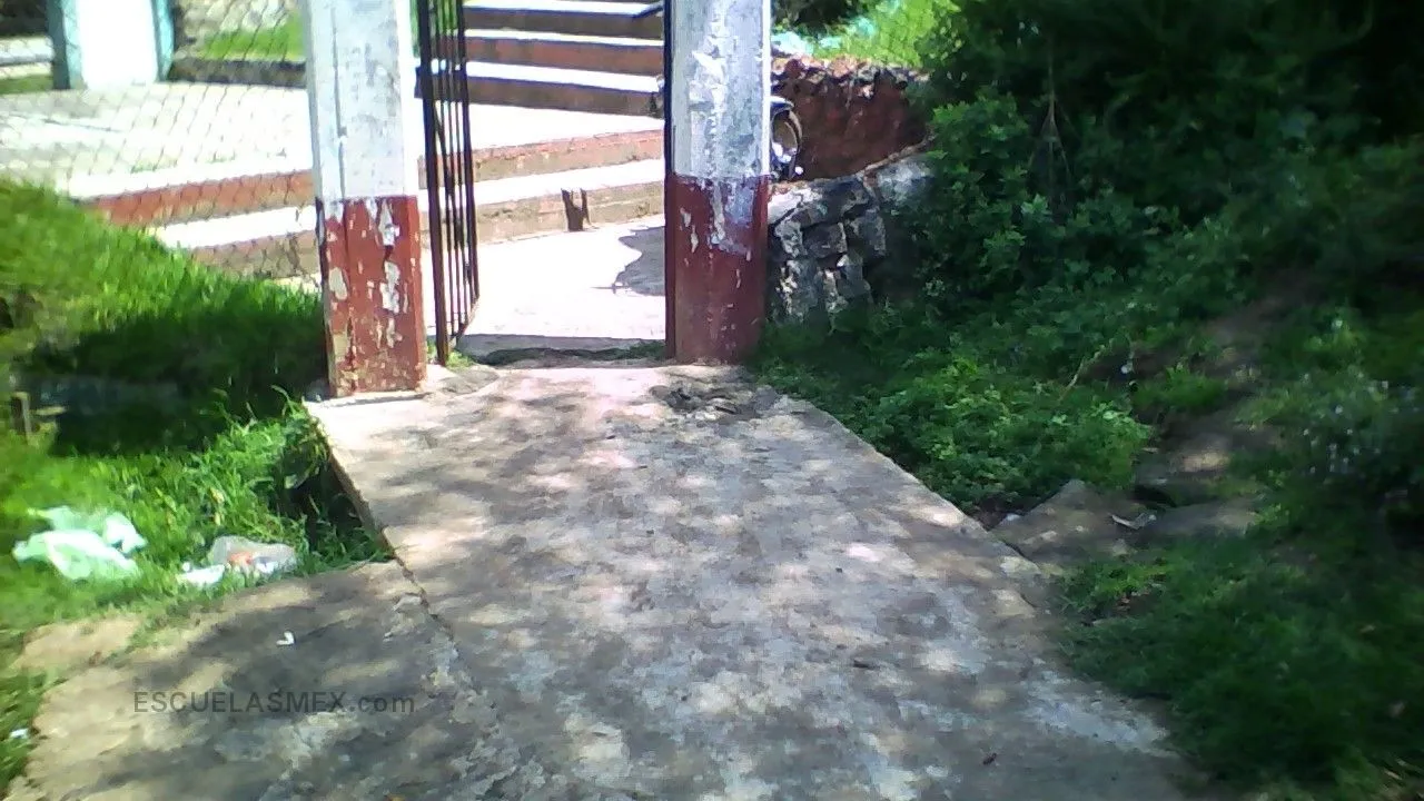 Narciso Mendoza Entrada