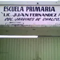 Lic. Juan Fernandez Albarran