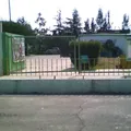 Leon Guzman Montes de Oca