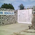 Carlos Hank Gonzalez