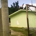 Netzahualcoyotl