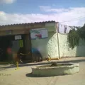 Rey Poeta