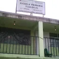 Tlacaelel