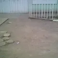 Tierra y Libertad